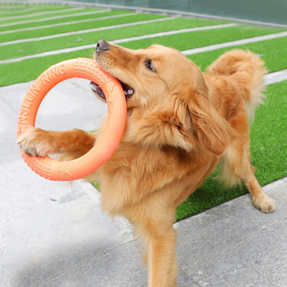 Indestructible Dog Chew Toy - 1pc Orange Dog Toys Pet Flying