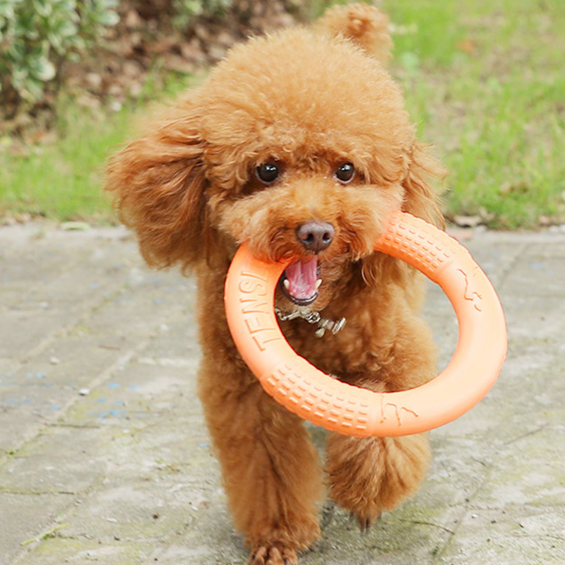 1pc Orange Dog Toys Pet Flying - огляд і ціна Indestructible Dog Chew Toy
