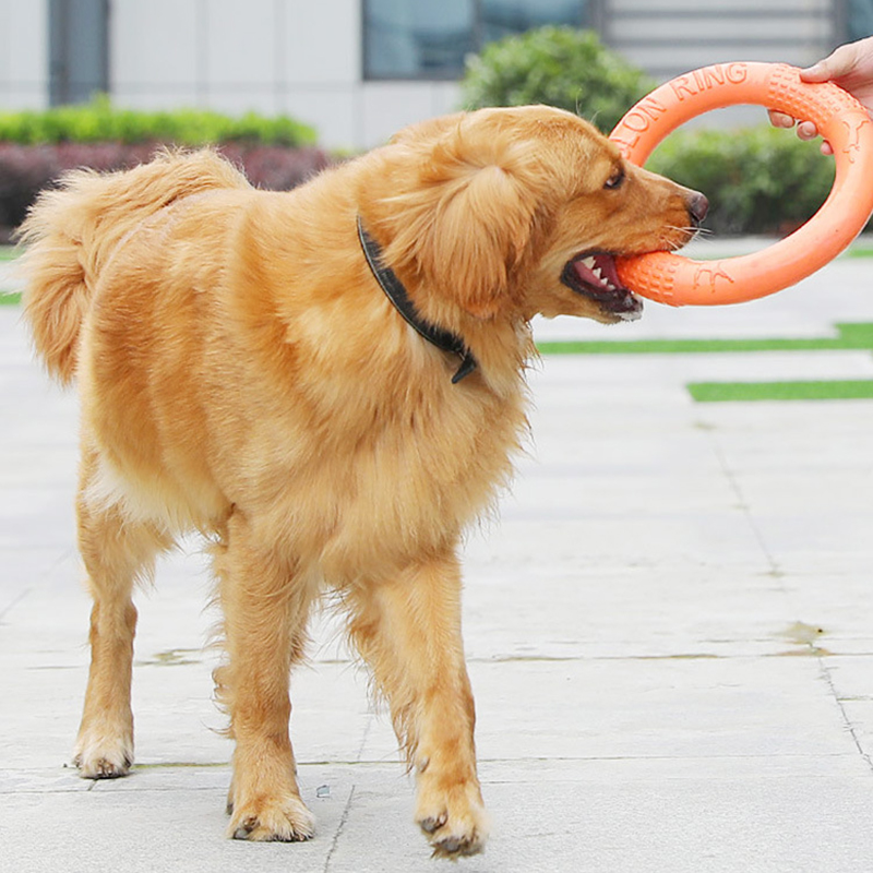 1pc Orange Dog Toys Pet Flying - огляд і ціна Indestructible Dog Chew Toy