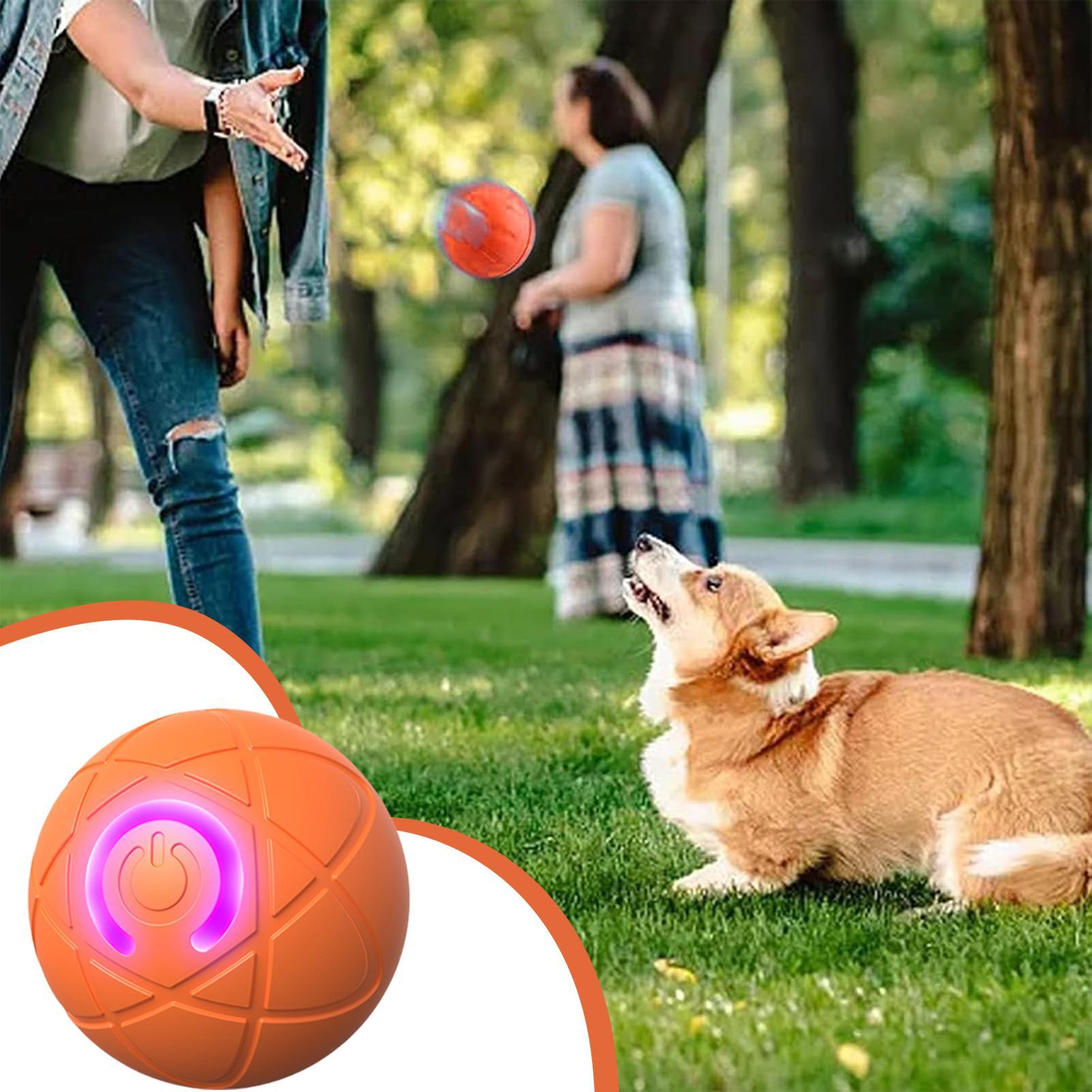 Smart Interactive Dog Toys for - огляд і ціна Automatic Moving Dog Ball