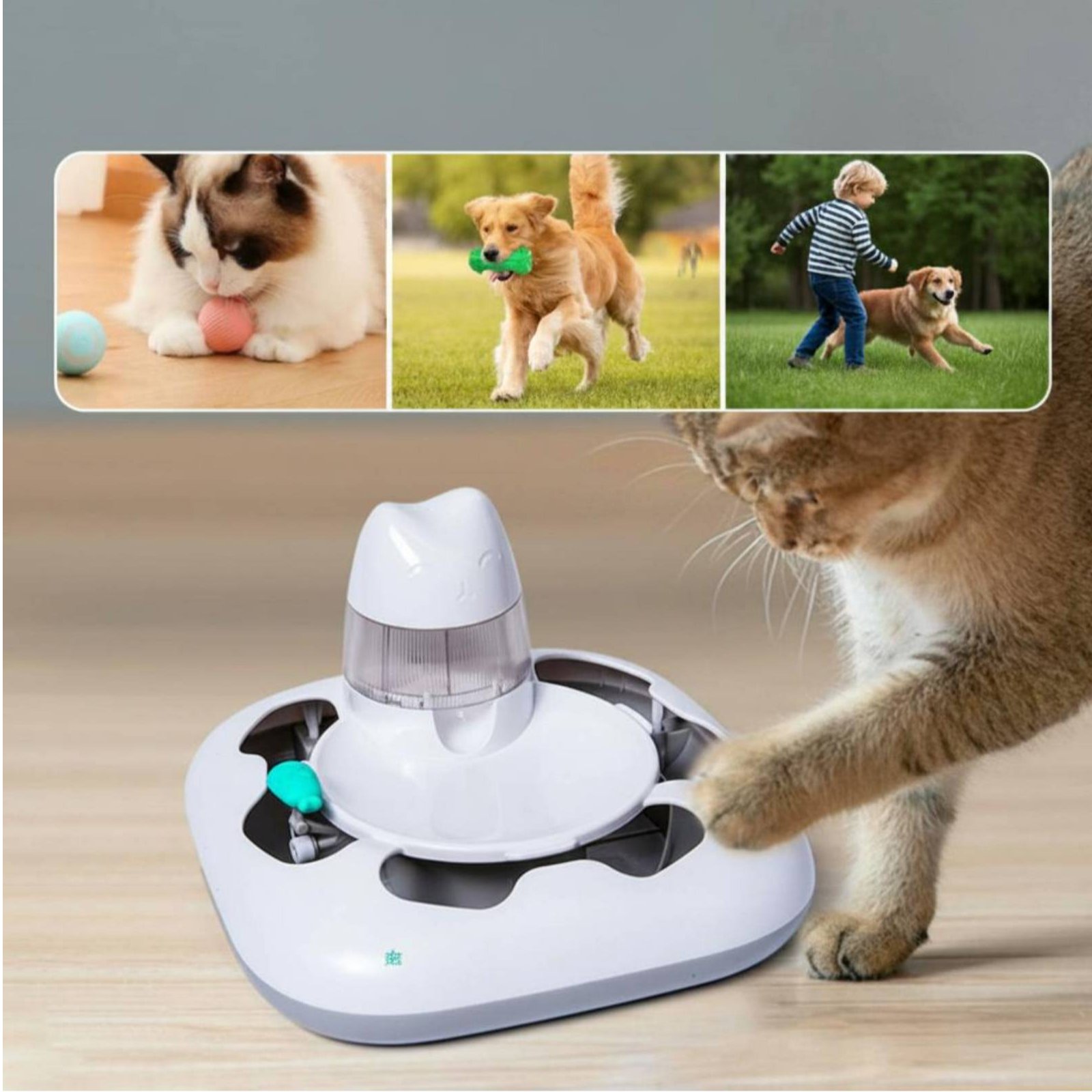 Cat Hunting Game Machine Inter - огляд і ціна Cat Toys
