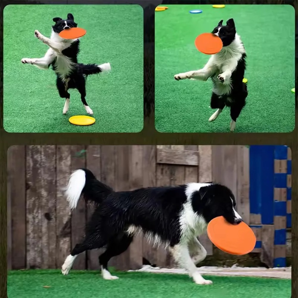 Dog Flying Disc TPR Pet Toy In - огляд і ціна Flying Disc Dog Training Toy
