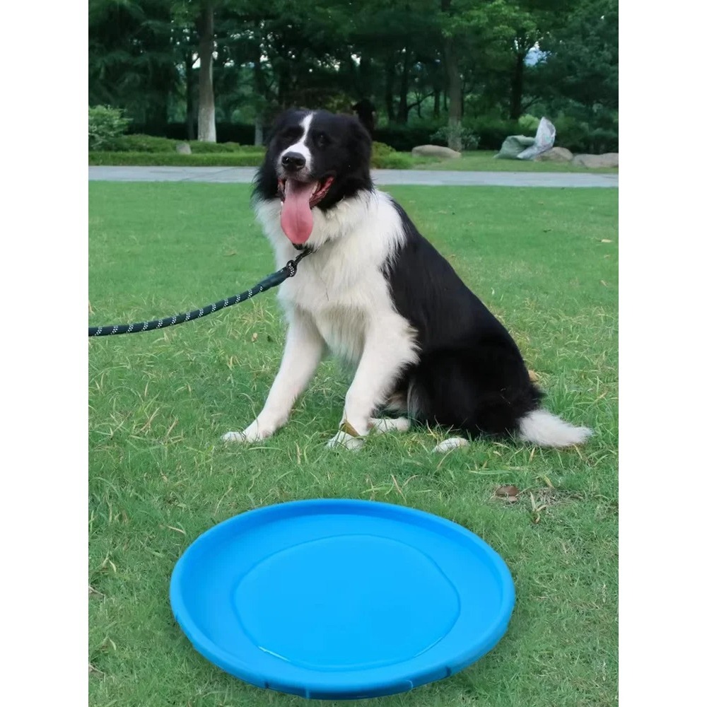 Dog Flying Disc TPR Pet Toy In - огляд і ціна Flying Disc Dog Training Toy