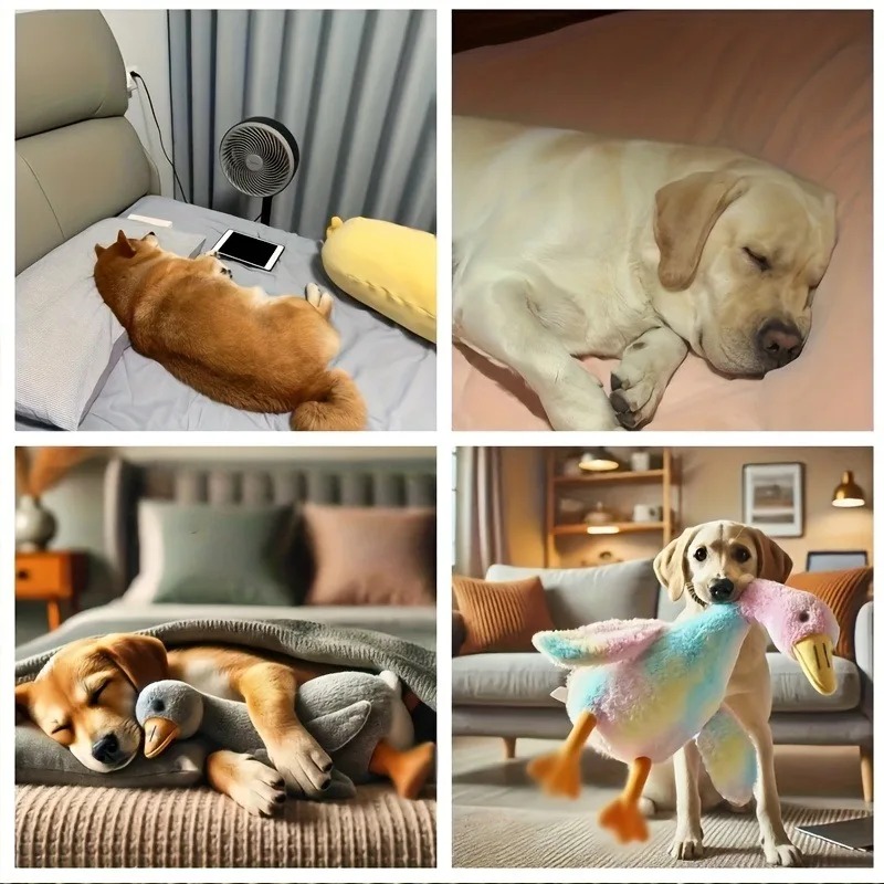 50cm Soft Colorful Duck Plush  - огляд і ціна Interactive Squeaky Plush Dog Toy