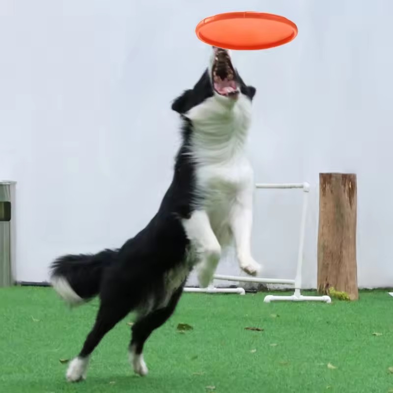 Interactive Silicone Flying Sa - огляд і ціна Flying Disc Dog Training Toy