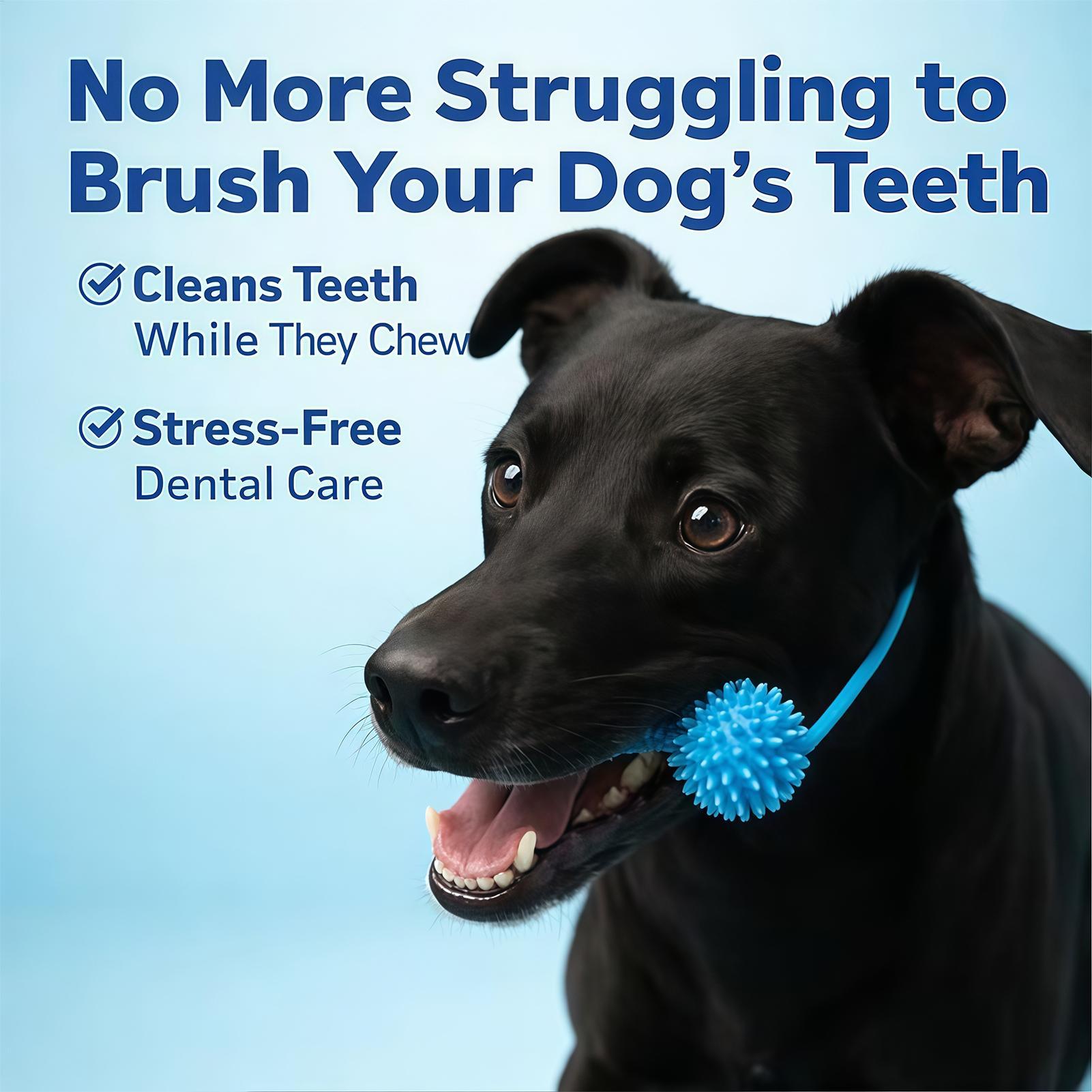 Dog Toothbrushing Toys Chewer  - огляд і ціна Rubber Treat Dispensing Dog Toy