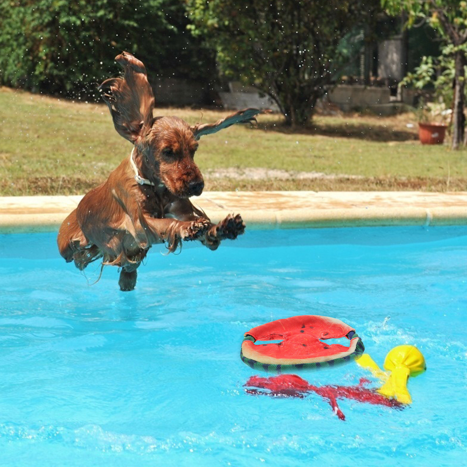 Dog Flying Disc Floating Water - огляд і ціна Flying Disc Dog Training Toy